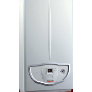 caldaia immergas home